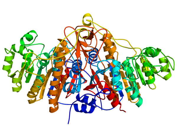 Alkaline Phosphatase Stabilizing Diluent - Teomics