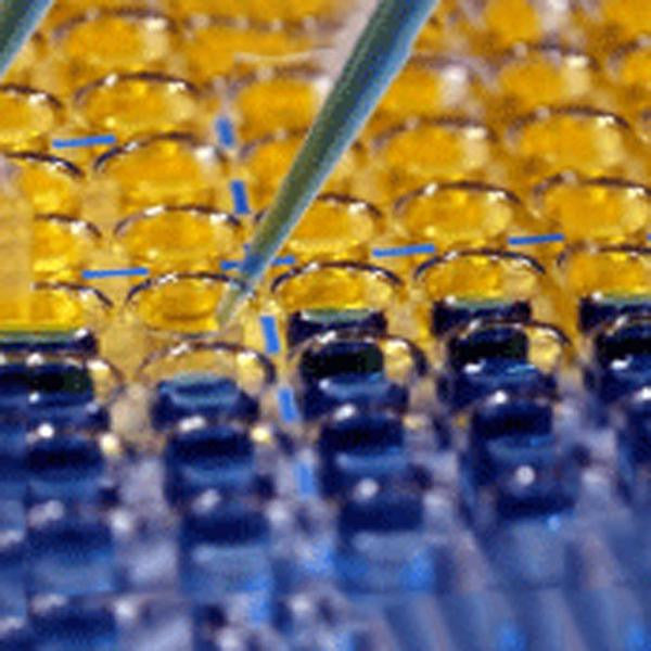 TMB Precipitating Reagent (For Membranes) - Teomics