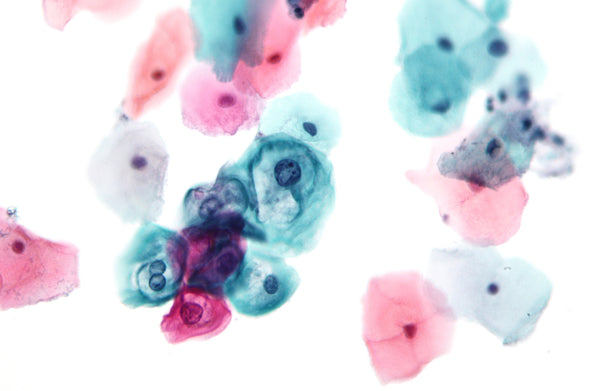 EA-65 Stain Solution - Teomics